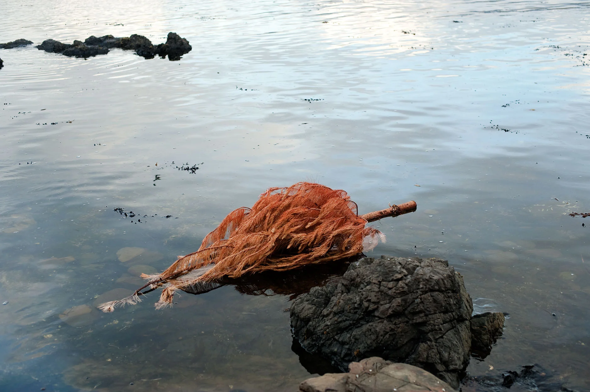 Breaker Bay, Wellington, 2011
