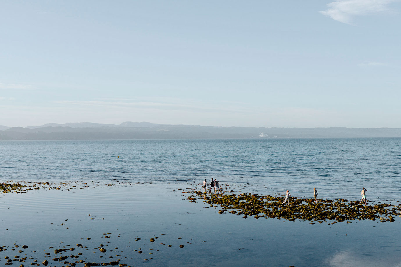 Napier,-2015-Bruce-Foster.jpg