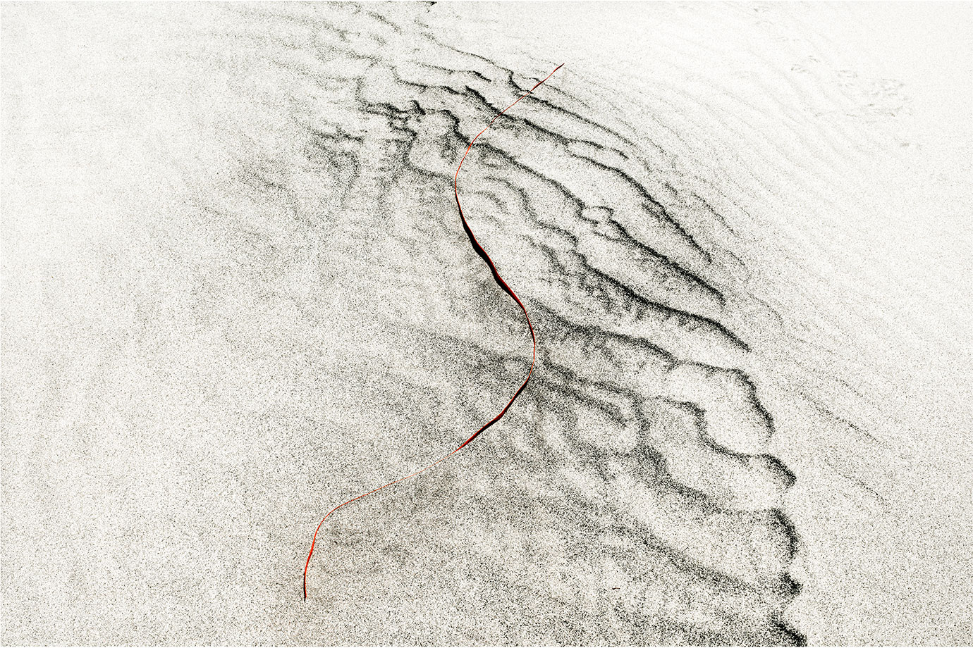 Intertidal 10, Mangawhai, NZ, Bruce Foster