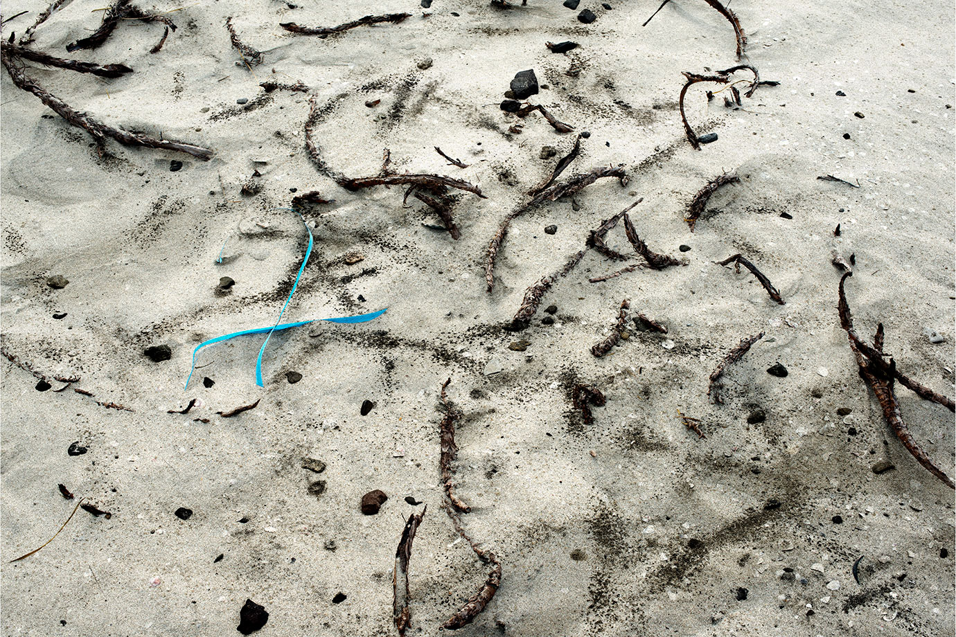 Intertidal 14, Mangawhai, NZ, Bruce Foster