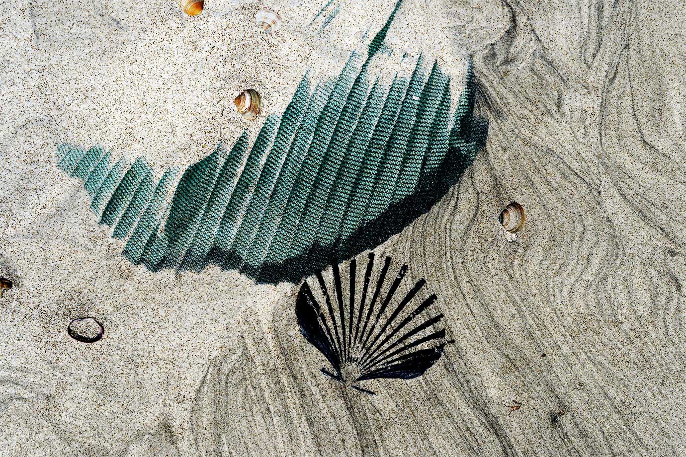 Intertidal 15, Mangawhai, NZ, Bruce Foster