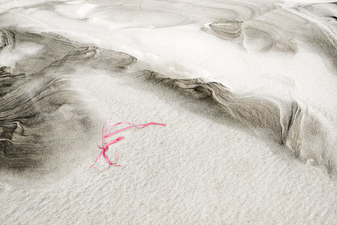 Intertidal 8