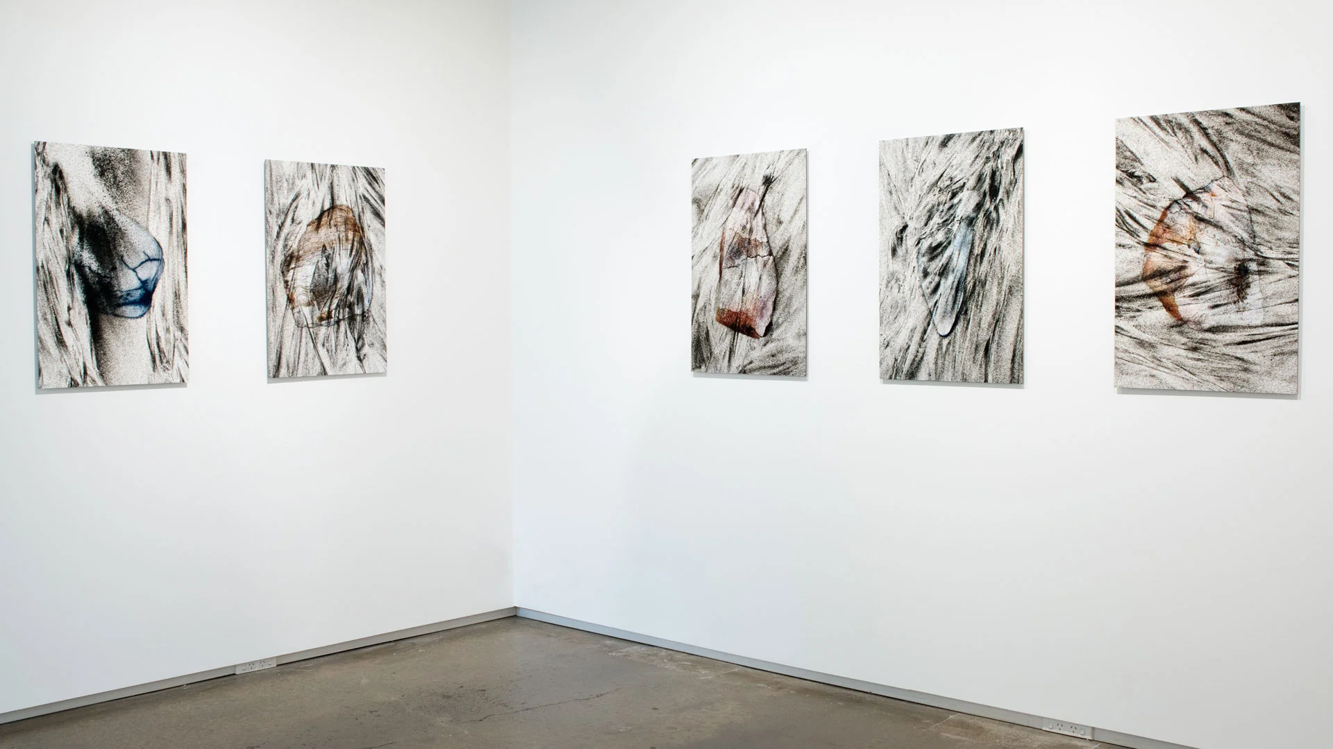 HOUSEKEEPING BOWEN GALLERIES May 1 – May 20, 2017 The Mangawhai spit is a subtly textured landscape of sand dunes, many cloaked with layers of bleached pipi and tuatua shells. These eroding middens, evidence of extensive shellfish harvesting, are littered with remnants of oven stones, jagged igneous rocks about the size of one’s fist. Formed by the solidification of the Earth’s molten magma during the early Miocene Epoch, these rocks were reshaped 400 years ago by the intense heat of kanuka fuelled fires; exploded and of no further use, they were tossed into the middens. A single large dune dominates the base of the spit. Deep beneath are the charred remains of a forest fire from the early 13th century. Sometimes, the blackened edges of this forest are exposed, carbon particles blasted from it by wind and rain and then submitted to mysterious forces. They blend with tiny translucent grains of quartz, themselves the product of weathering of the Earth’s crust, to form intricate patterns across the face of the dune.