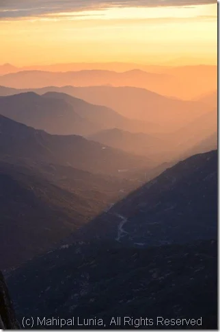 Embracing Aliveness - Following Your Fascinations Fully