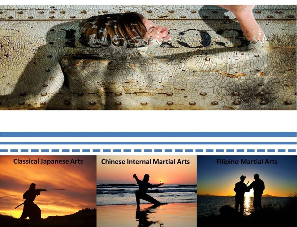 Mountain View Aiki - The Approach to Martial Study Defined