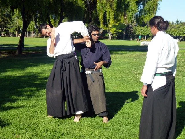 Martial Musings with Mahipal Lunia: Defining oneself and one's practice AKA This is not your friendly neighborhood McDojo