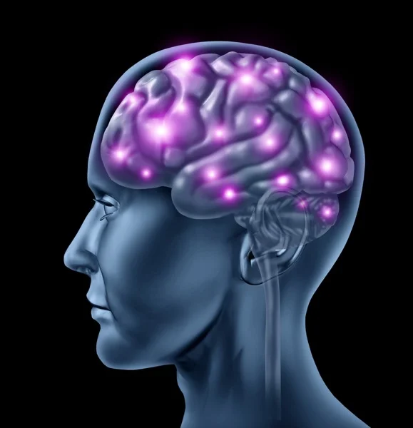 Brain Up Shifting and Pure Reaction in the Martial Arts - Mahipal Lunia