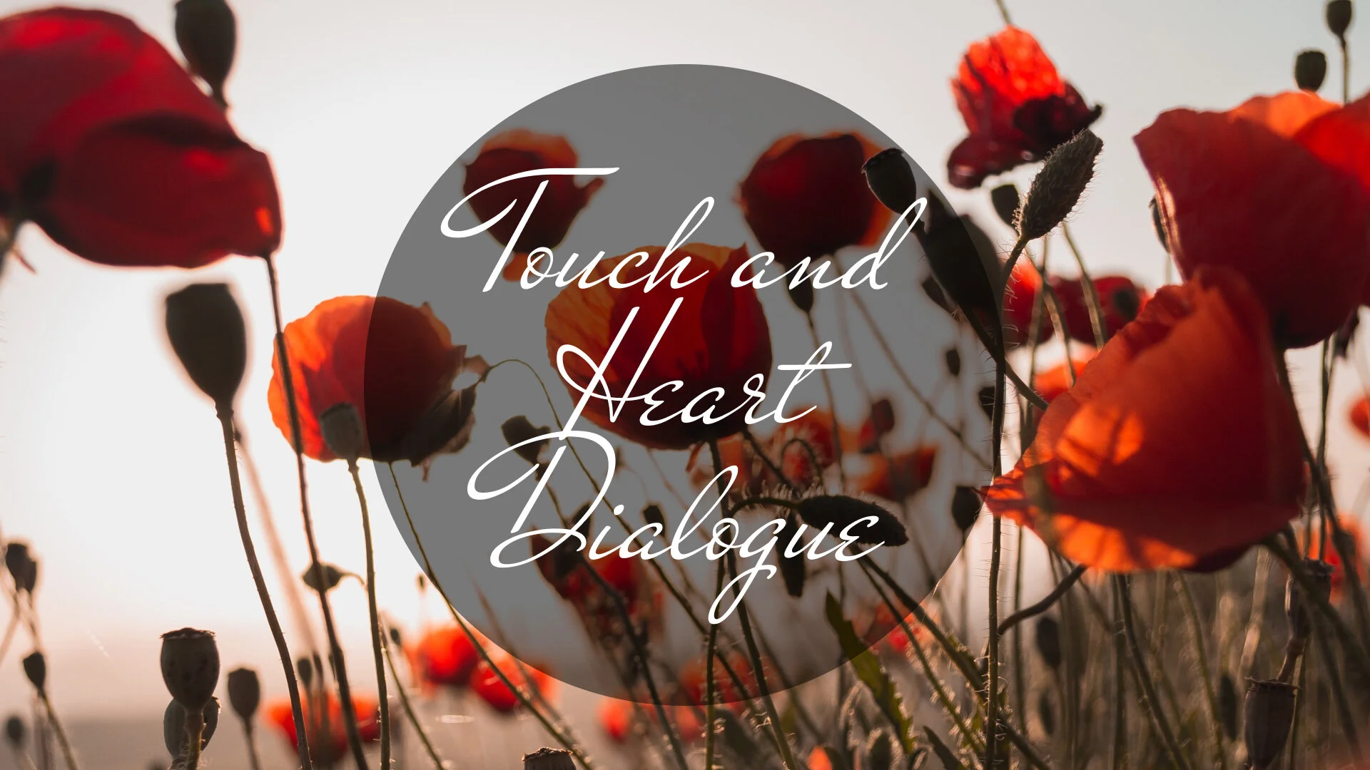 Video Series: Touch and Heart