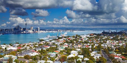 Auckland Daytime.jpg