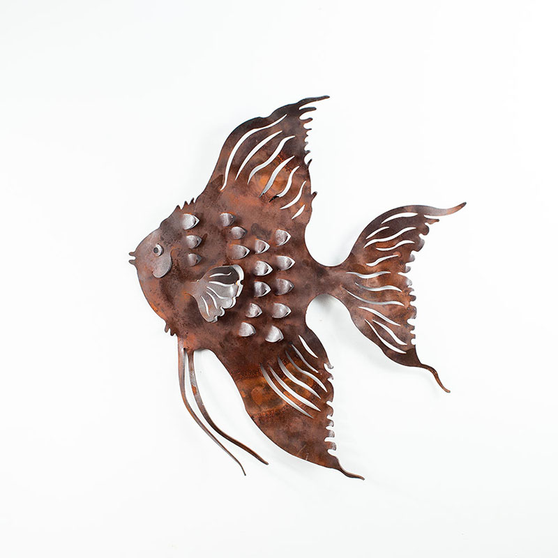 WALL ANGELFISH