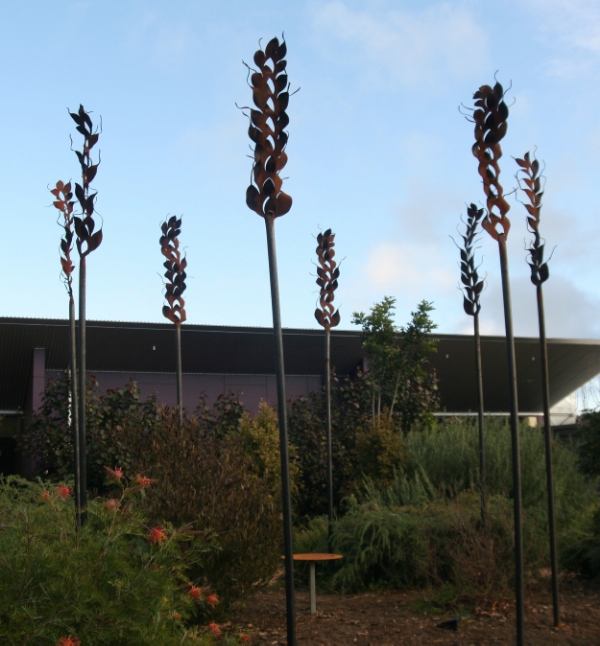 Wheat stalks All Saints Catholic School