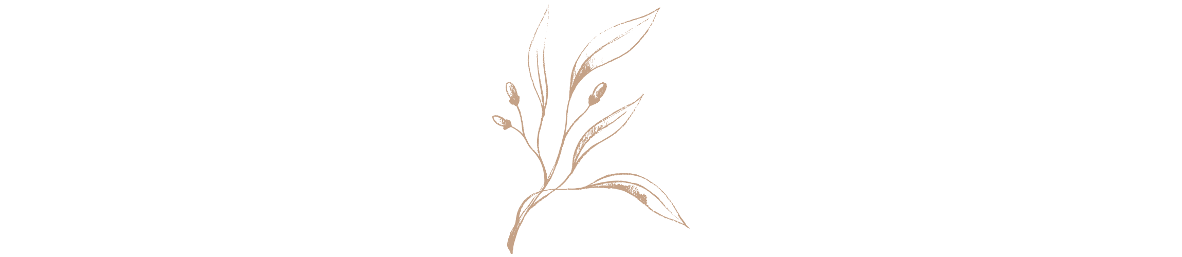 Leesa Dykstra Designs Leaves 1.png