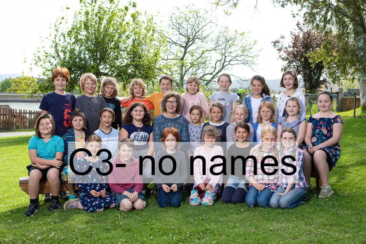 C3- no names.jpg
