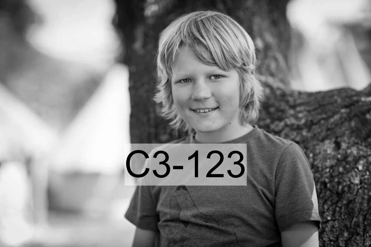 C3-123.jpg