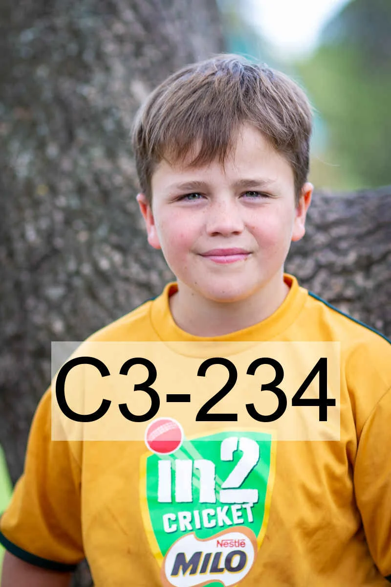 C3-234.jpg