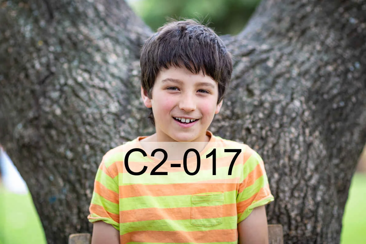 C2-017.jpg