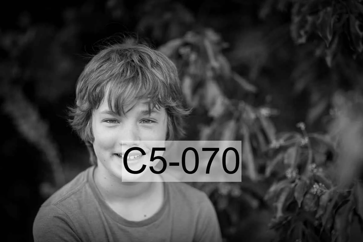 C5-070.jpg