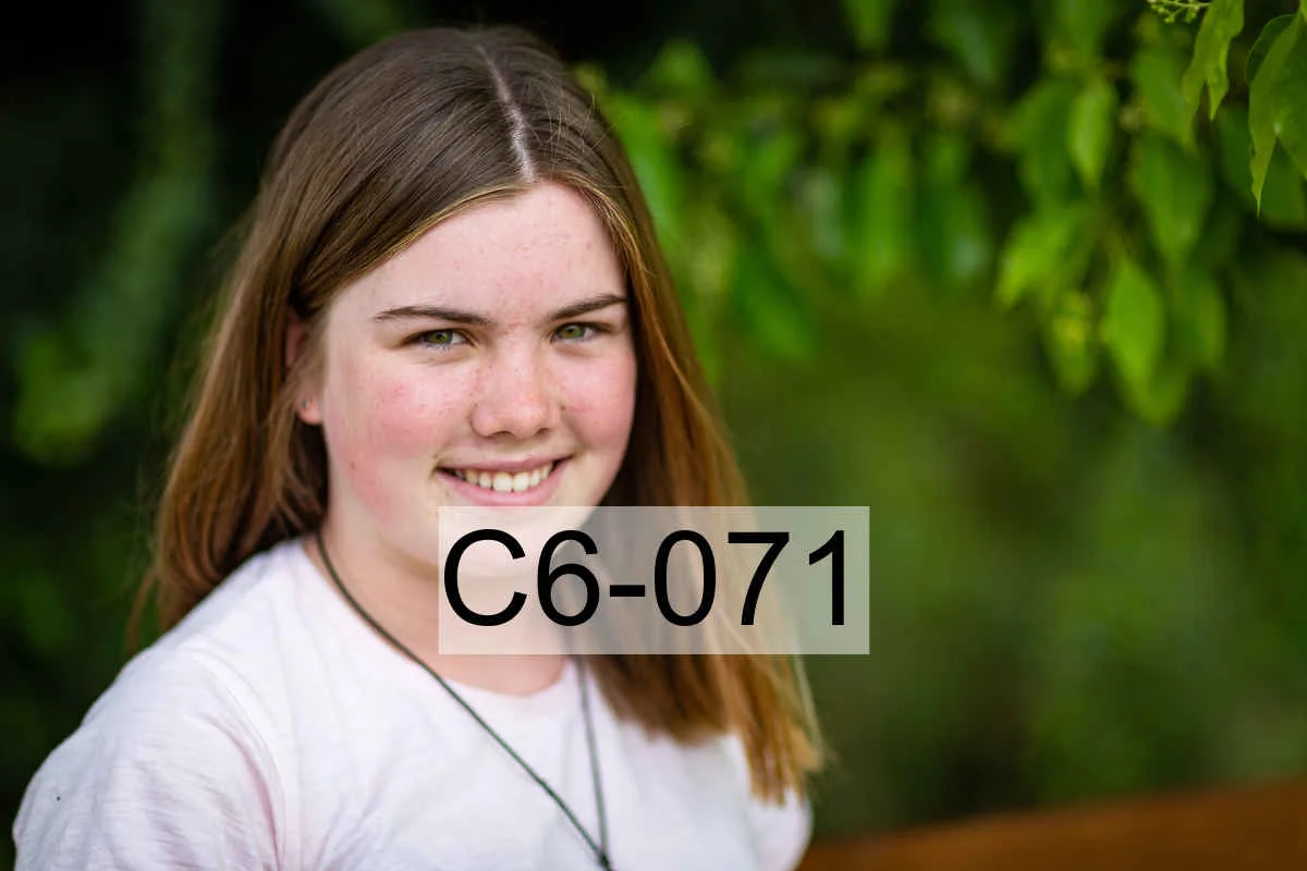 C6-071.jpg