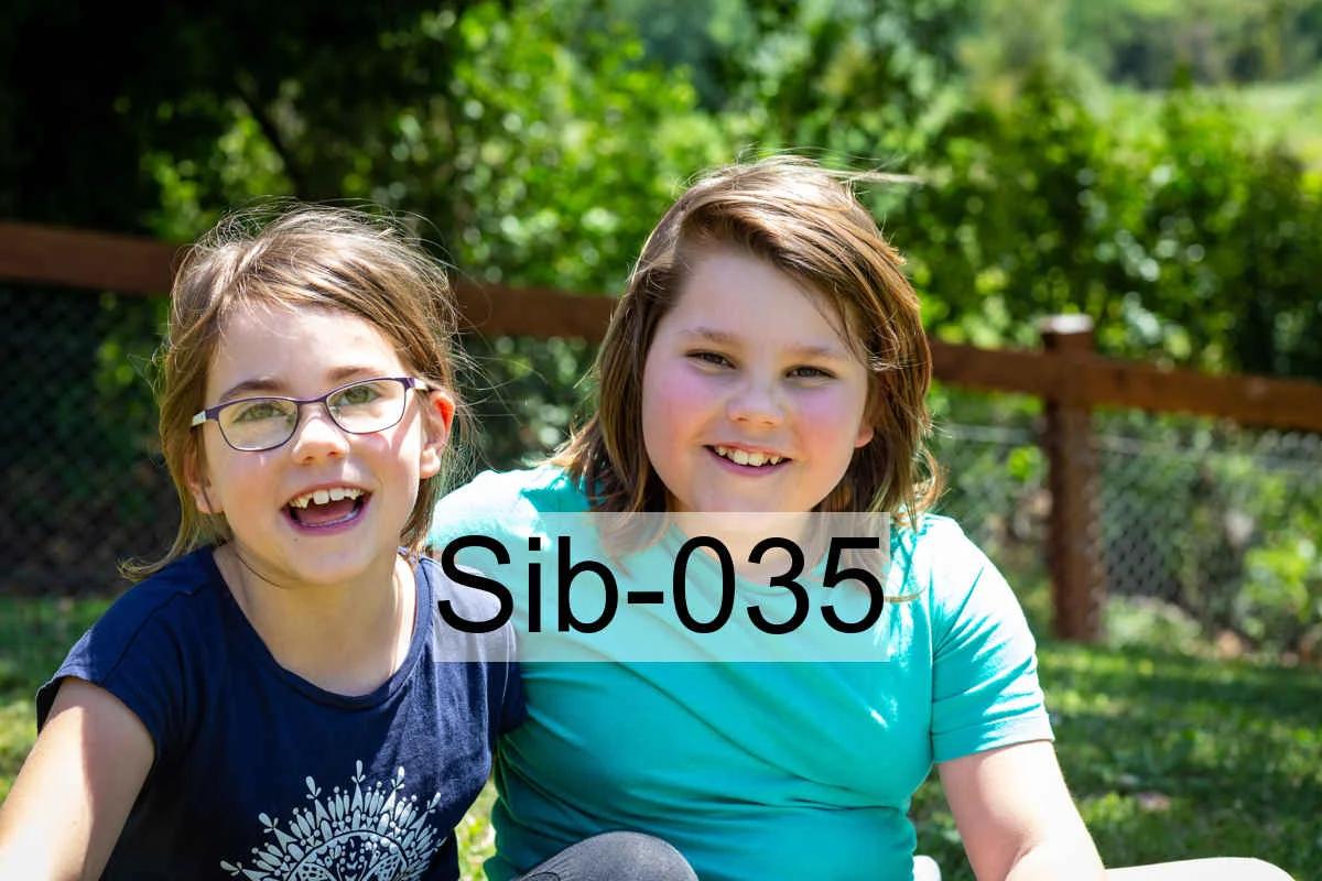 Sib-035.jpg