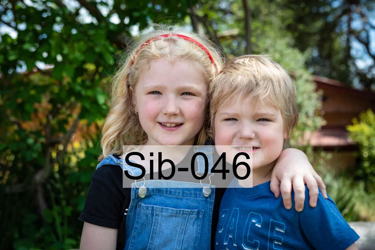 Sib-046.jpg