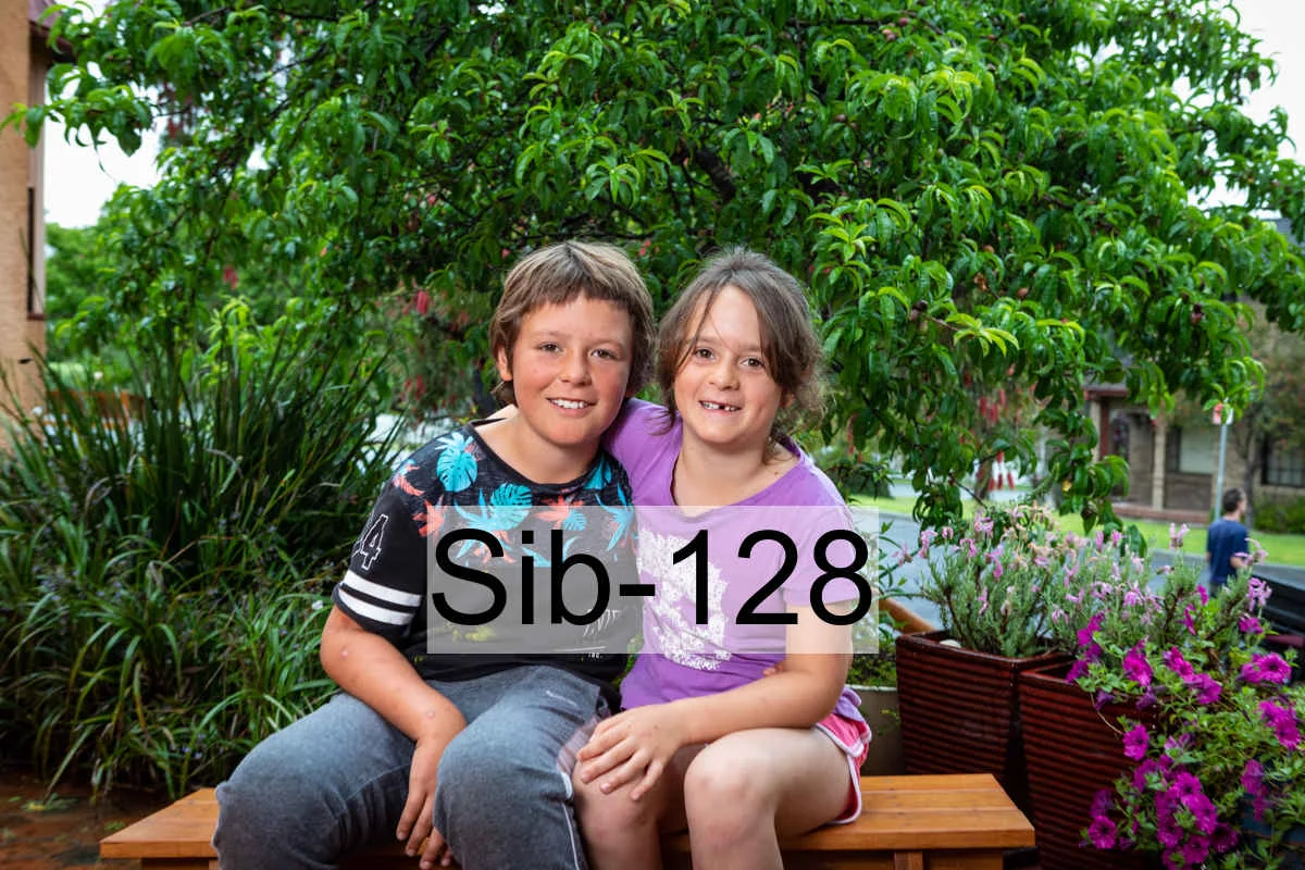 Sib-128.jpg