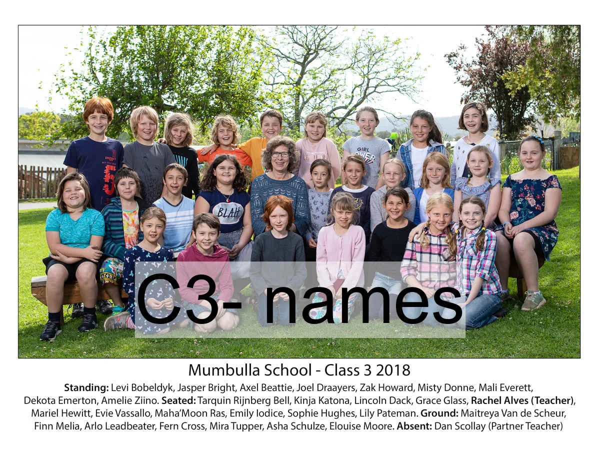 C3- names.jpg