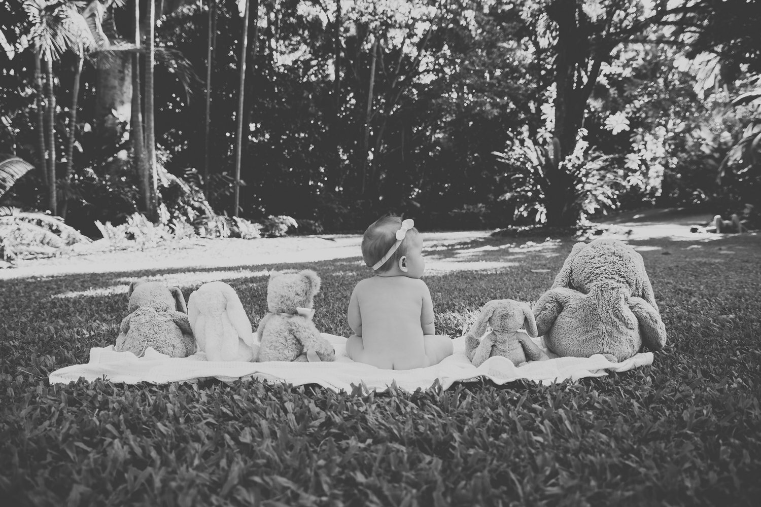 Portrait Cairns Photographer Couple Botanic Gardens Monica Kristin Photography Port Douglas Queensland Photoshoot Family Baby03.jpg