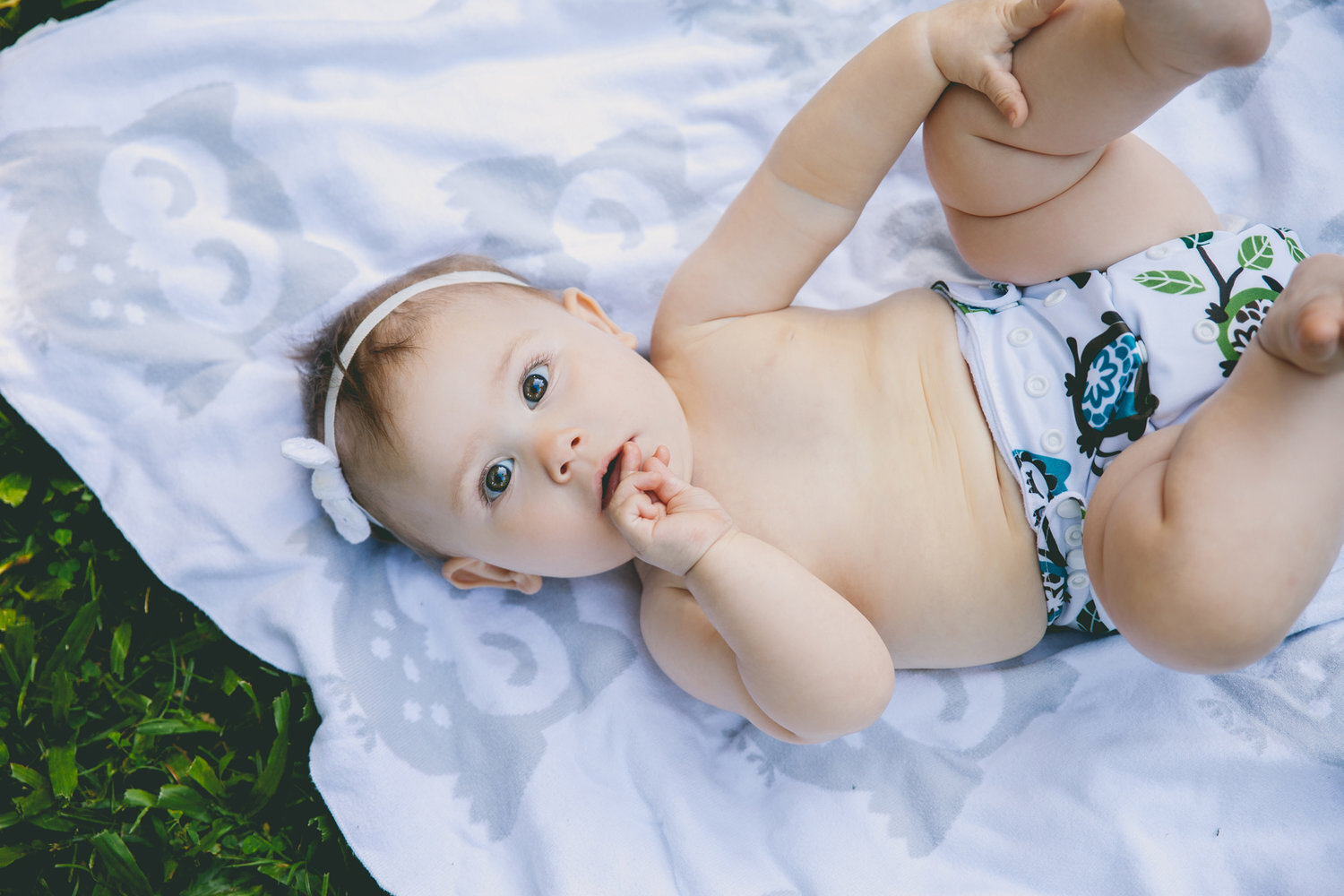 Portrait Cairns Photographer Couple Botanic Gardens Monica Kristin Photography Port Douglas Queensland Photoshoot Family Baby09.jpg