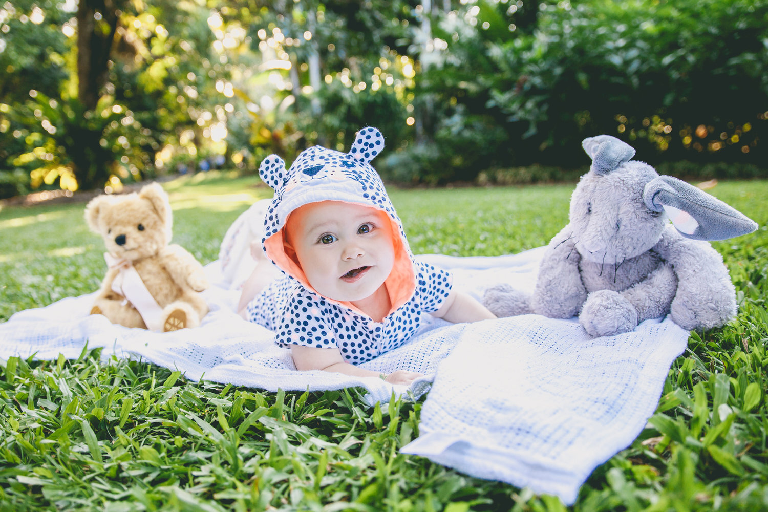 Portrait Cairns Photographer Couple Botanic Gardens Monica Kristin Photography Port Douglas Queensland Photoshoot Family Baby13.jpg