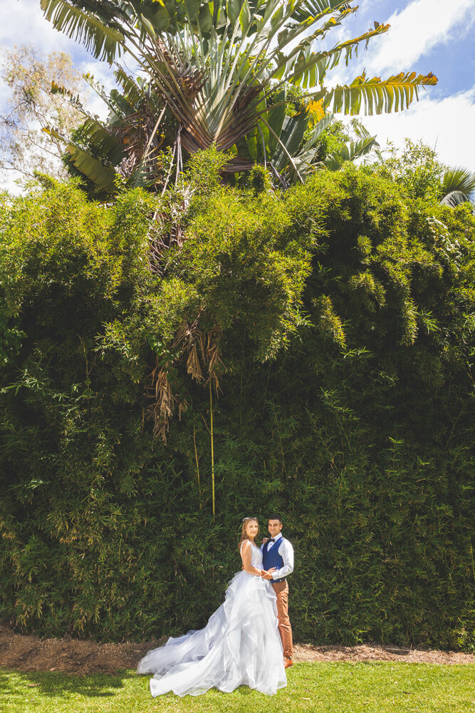 Cairns Wedding Photography