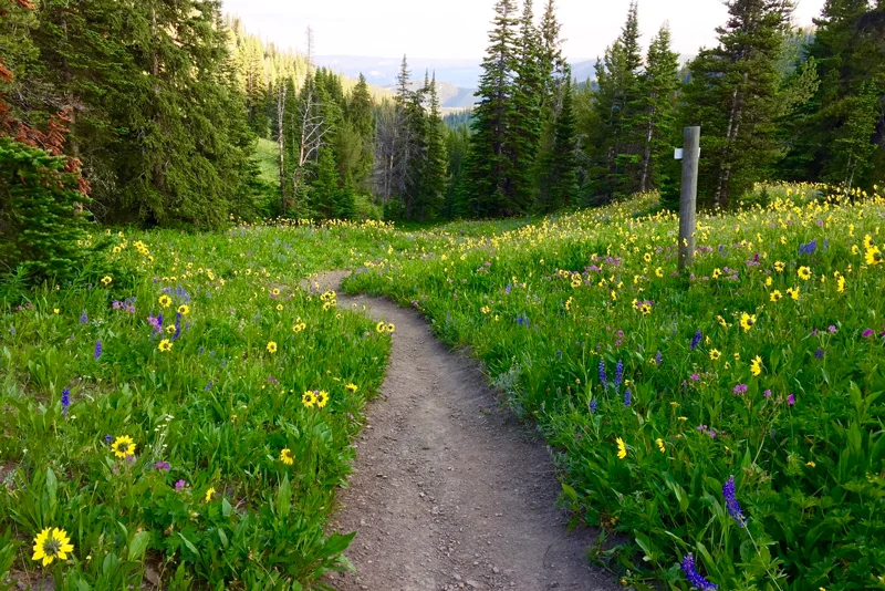 hike.jpg