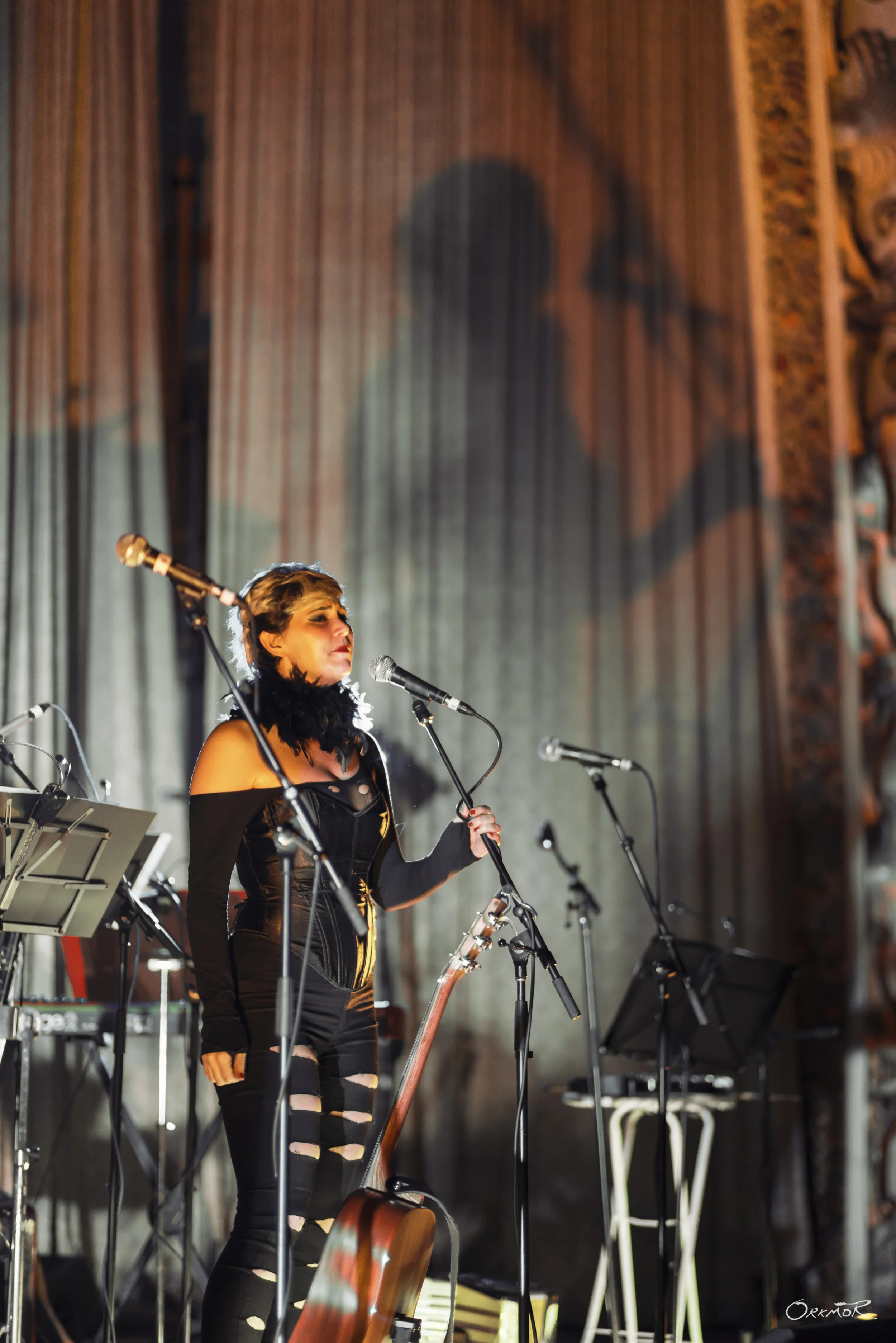 The Black bird Ensemble