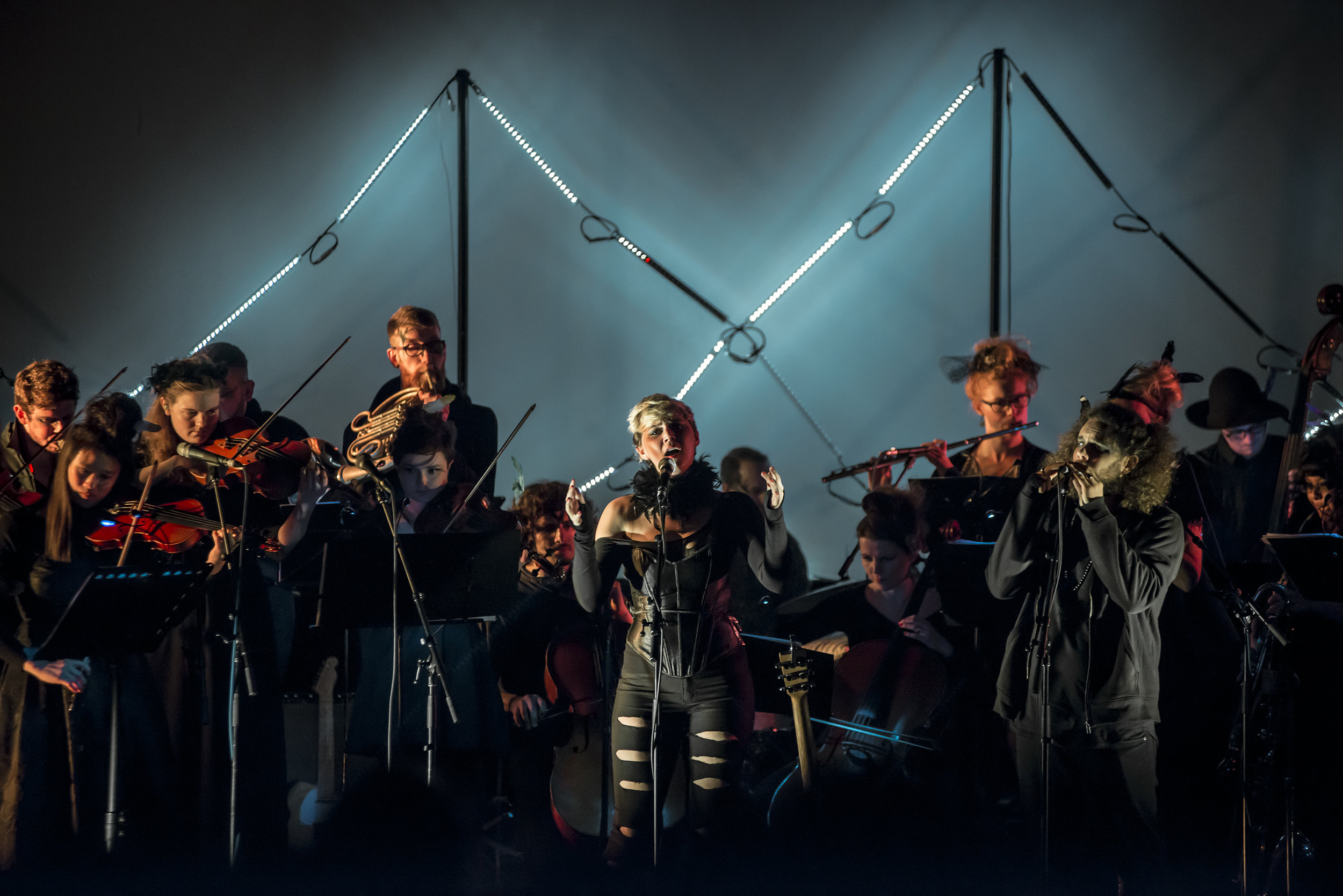 The Blackbird Ensemble, 2016