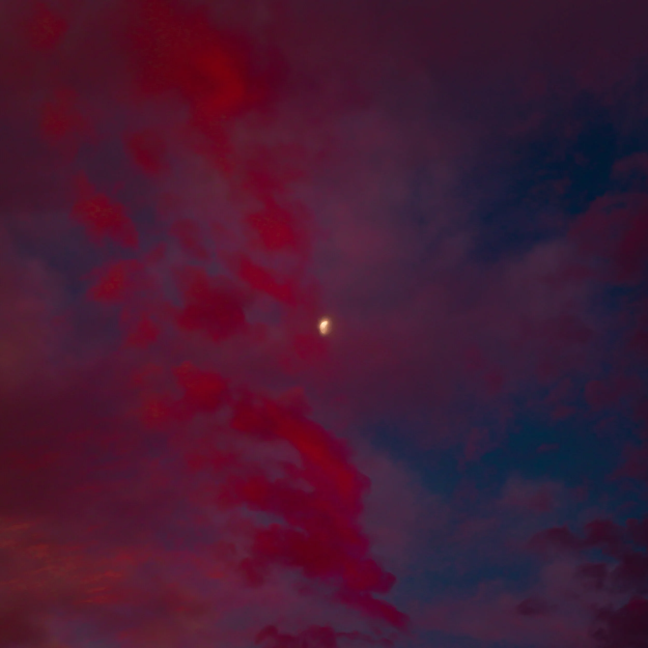 _WB12973-1.jpg