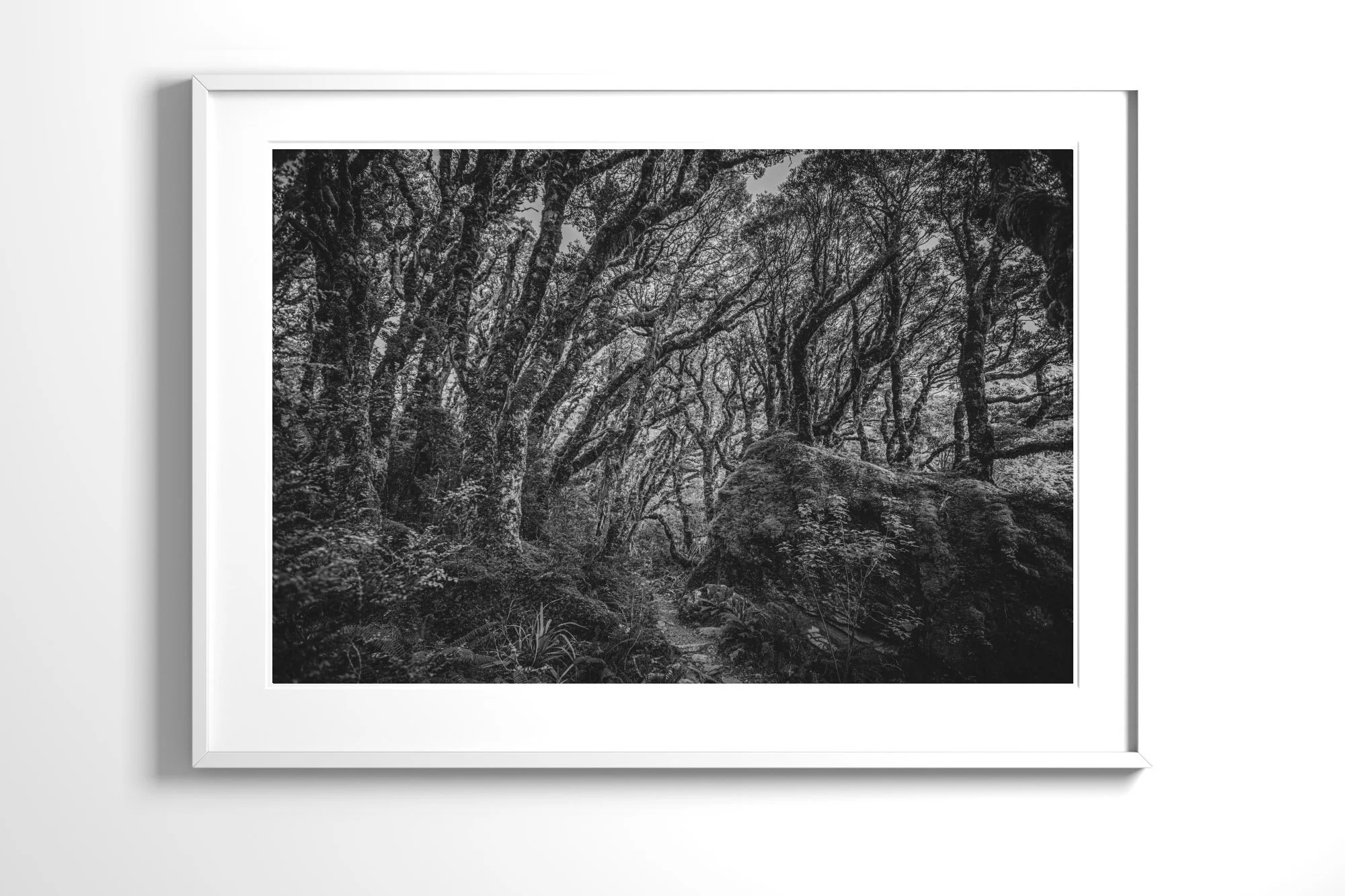 02_Routeburn#1MossyForest_FrameWhiteLarge.jpg