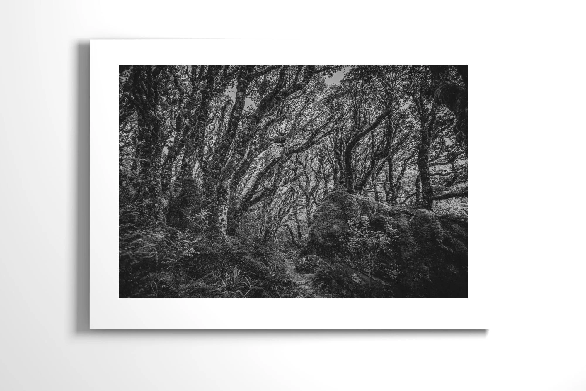 02_Routeburn#1MossyForest_Unframed.jpg