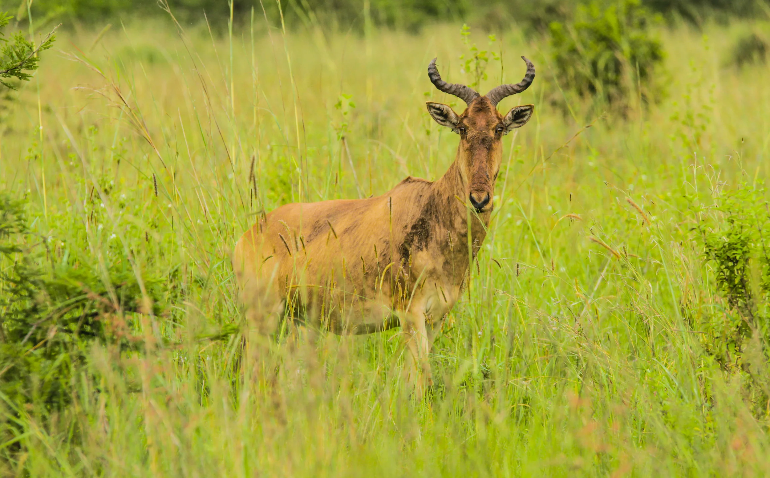 Kenya-47.jpg