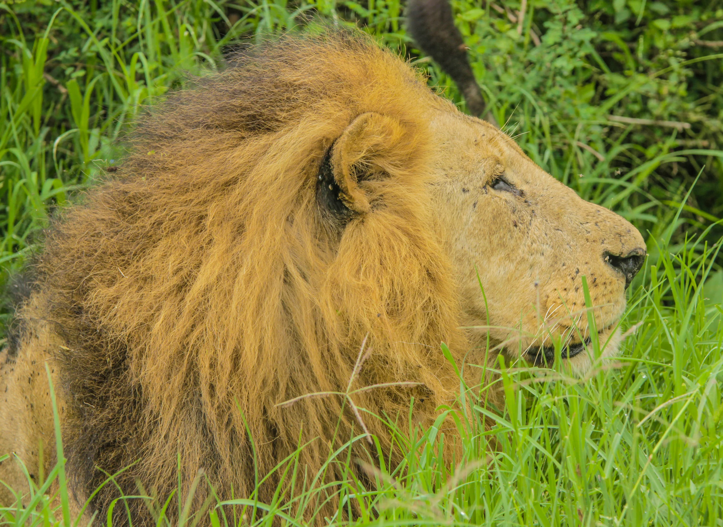 Kenya-59.jpg