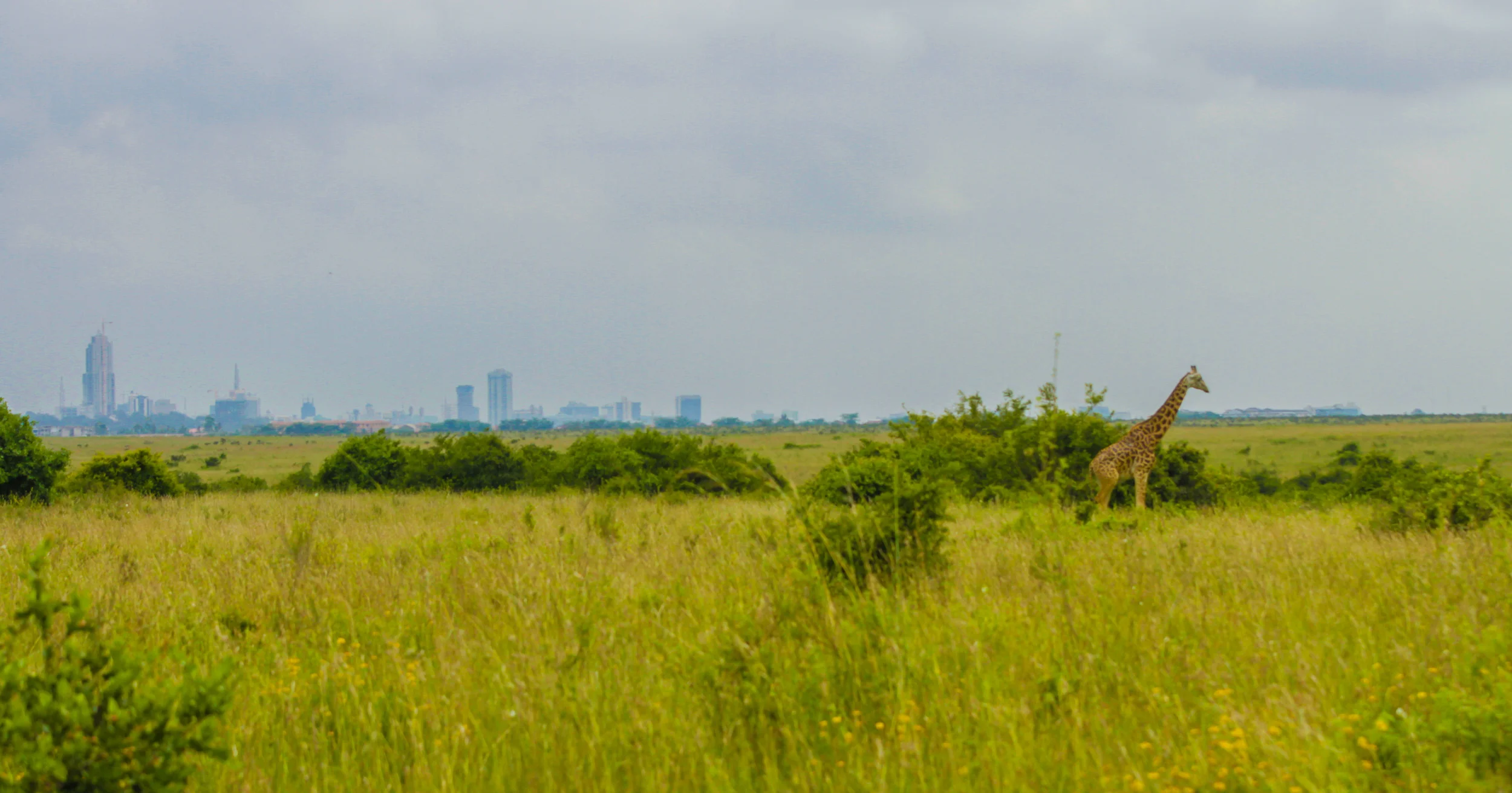 Kenya-69.jpg