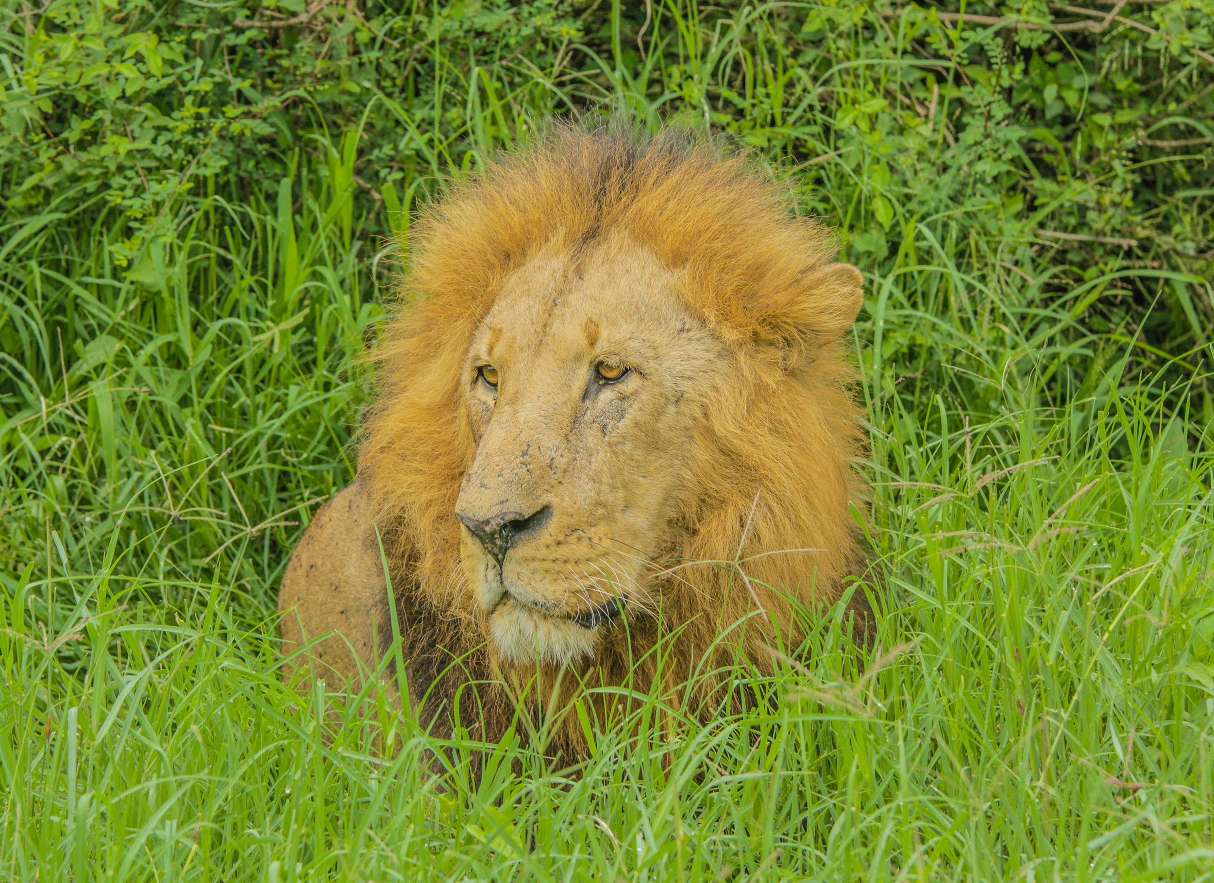 Kenya-58.jpg