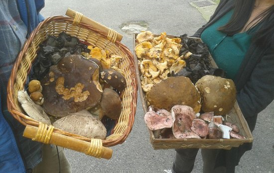 trattoria-albana1.jpg