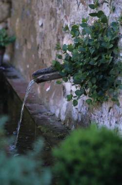 Fountain.jpg