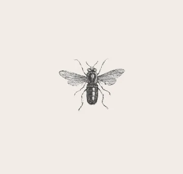 bee1.jpg