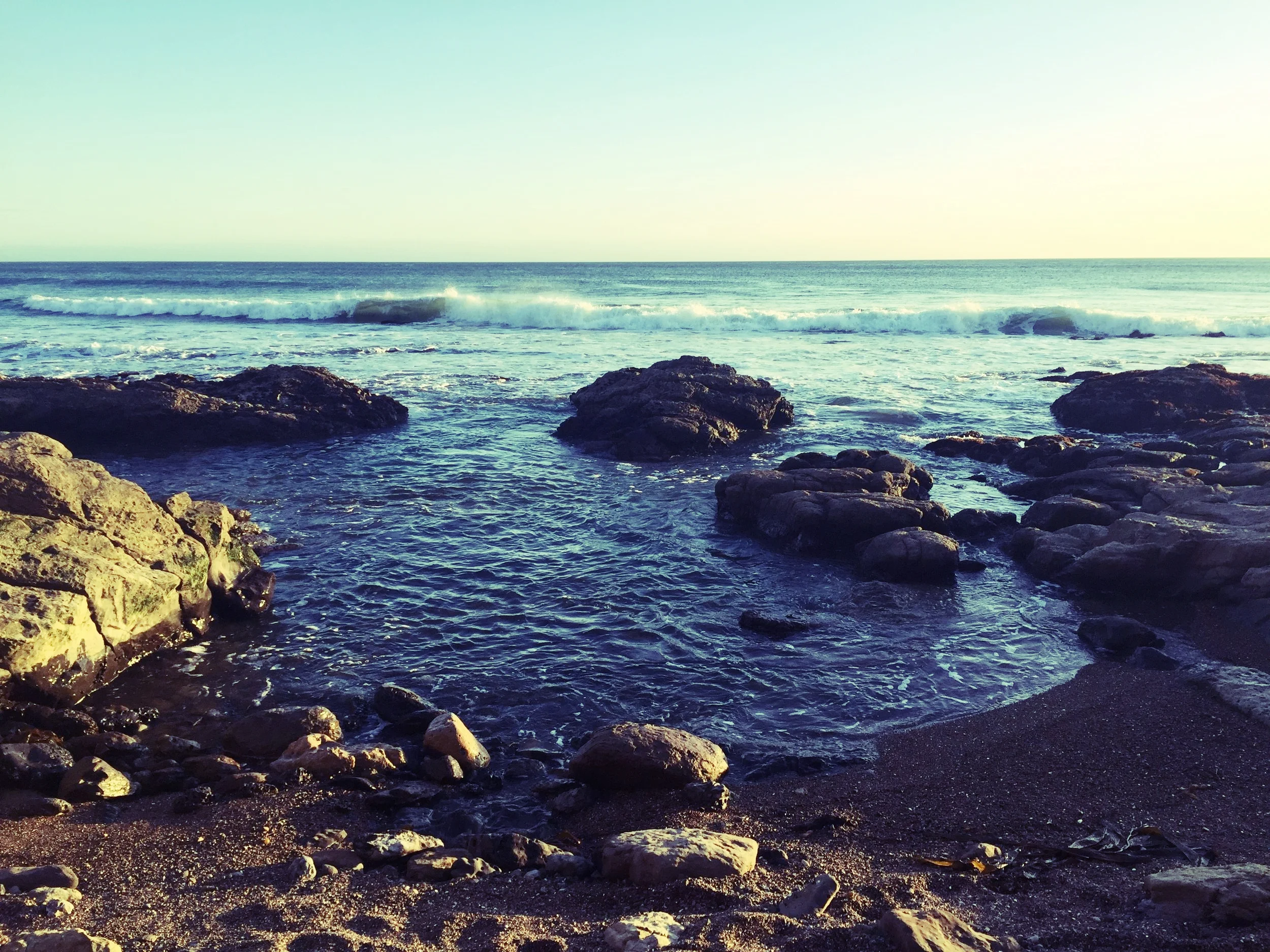 Space for Aces:  Finding a Home in a Sexual World