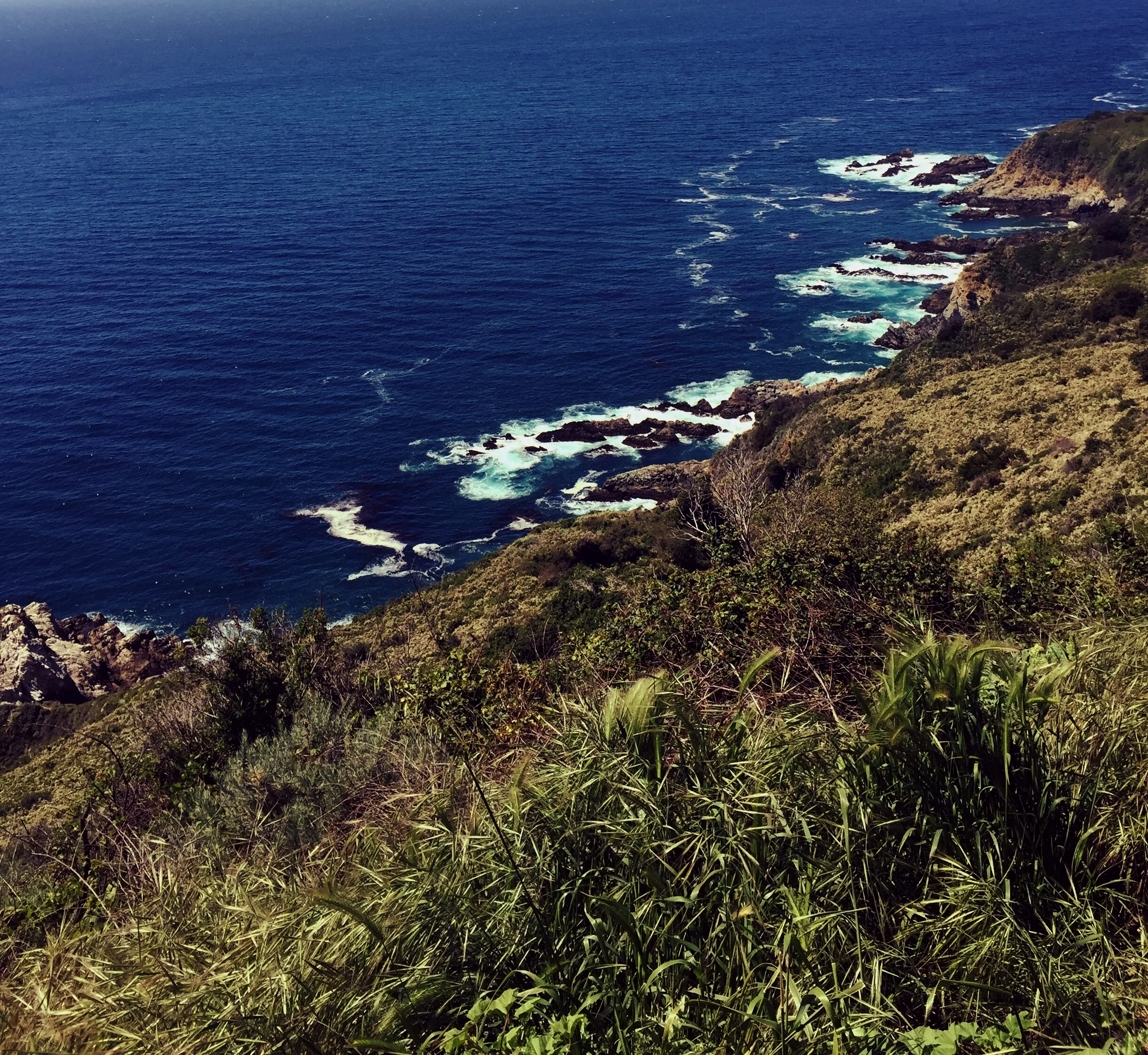 Asexual Community Participation:  How Often? Why? Why not?