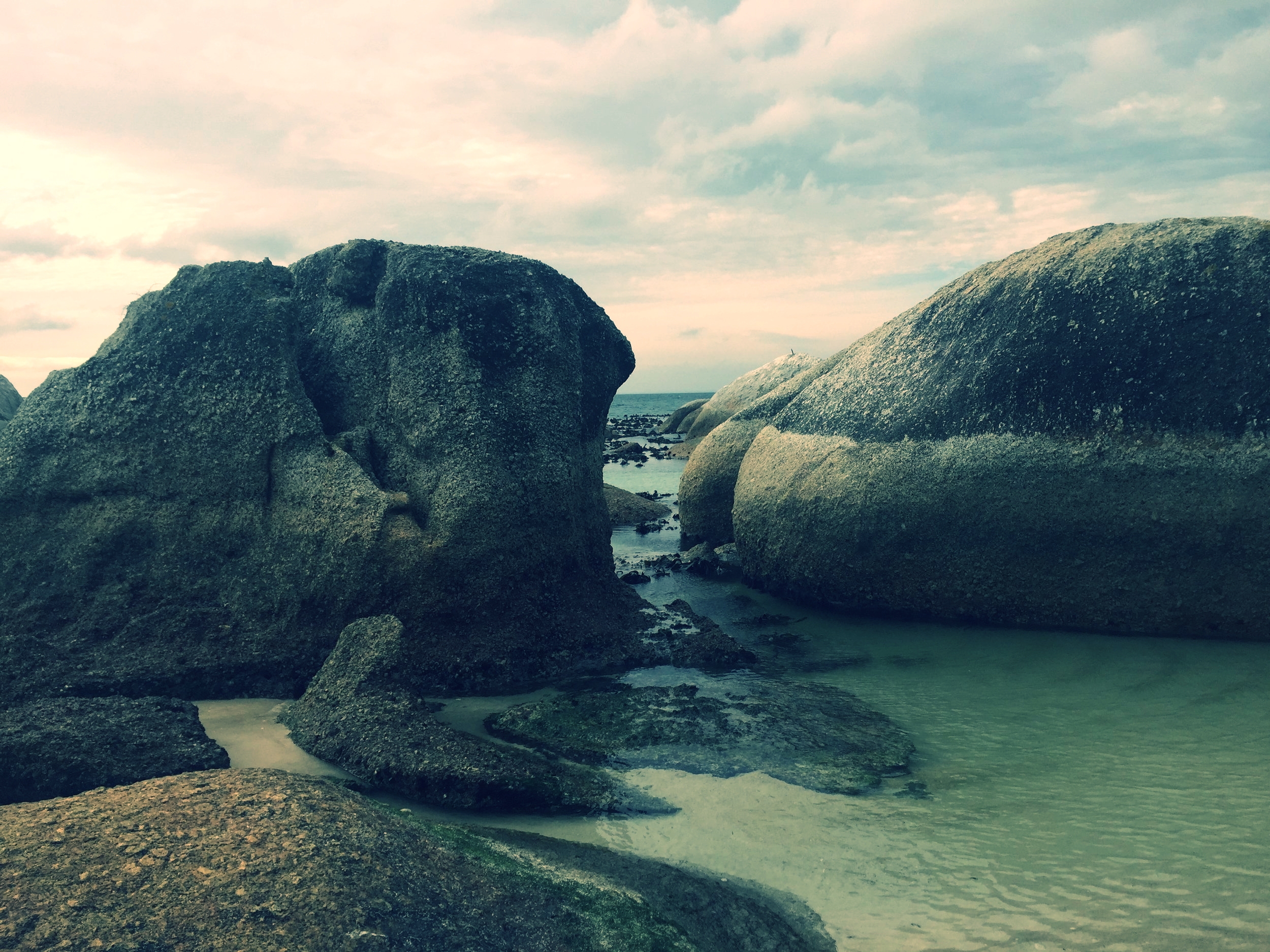 Asexual Insight on the Male Homoerotic Body