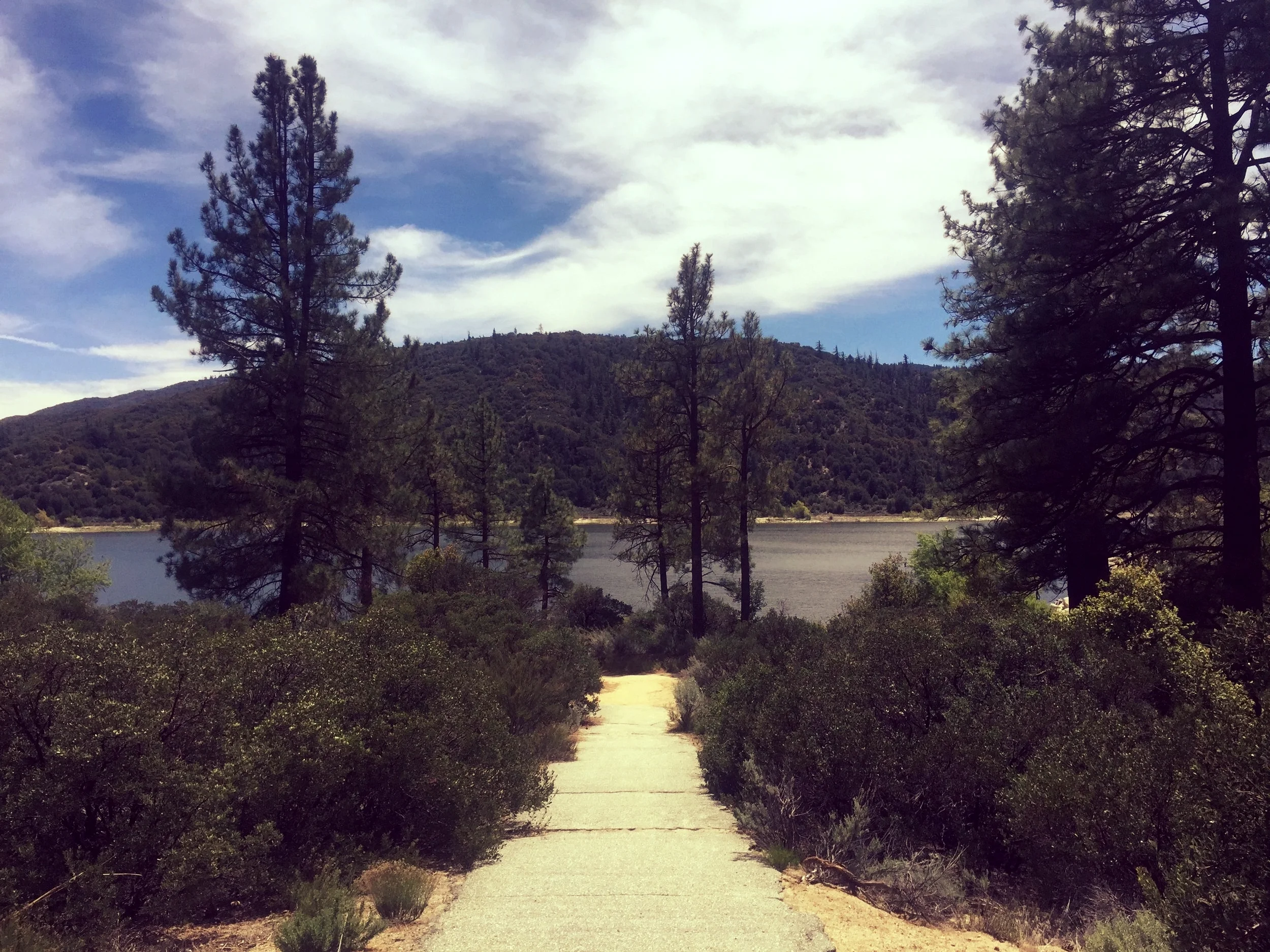 An asexual manifesto