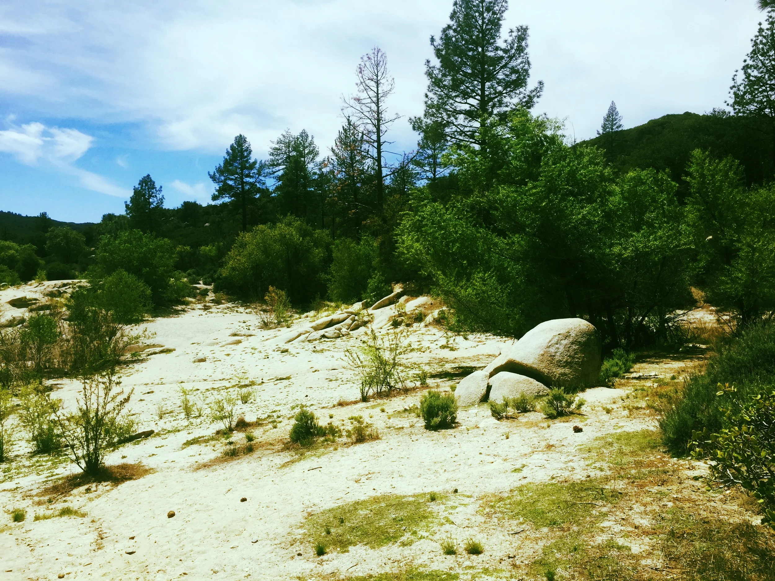 Creating Ace Space in the Media