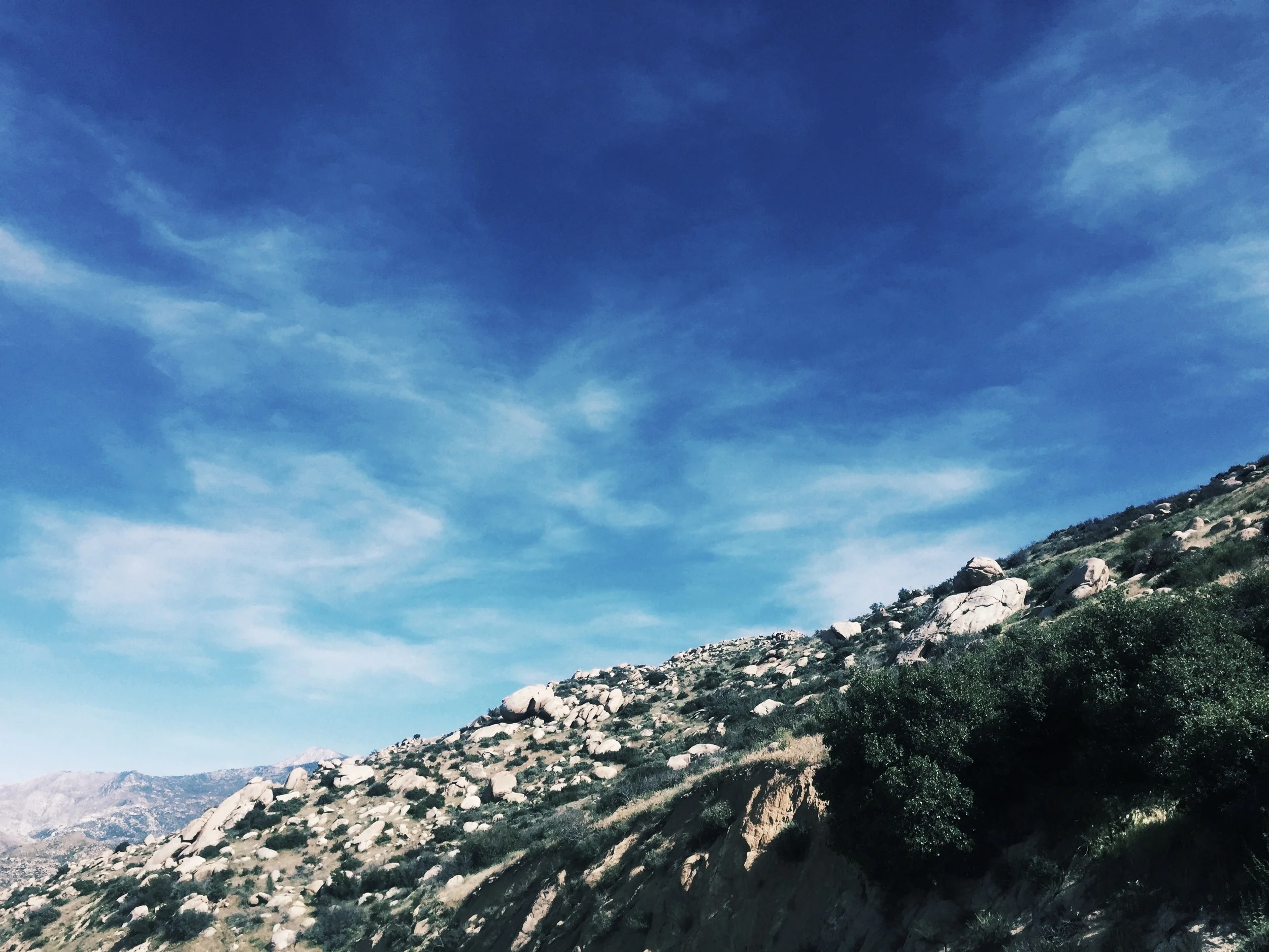 From Dissonance to Understanding