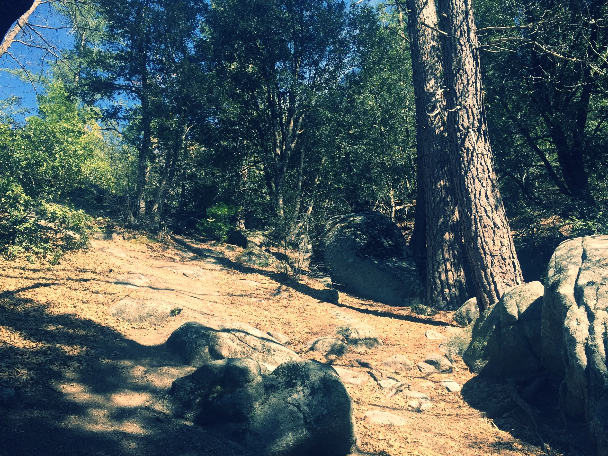 Thanks, Keyleth: Ace Representation in Critical Role